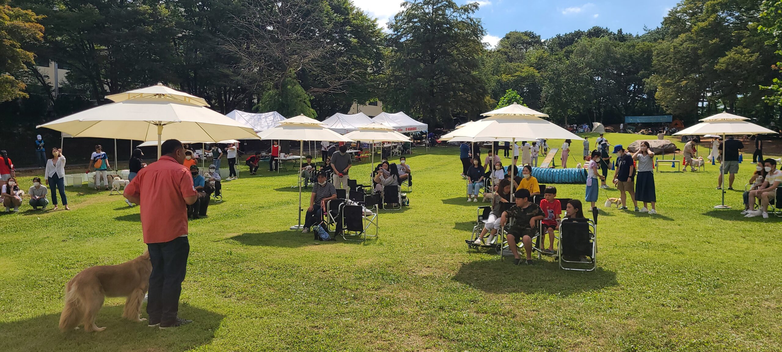 KakaoTalk 20240524 075910687 02 scaled