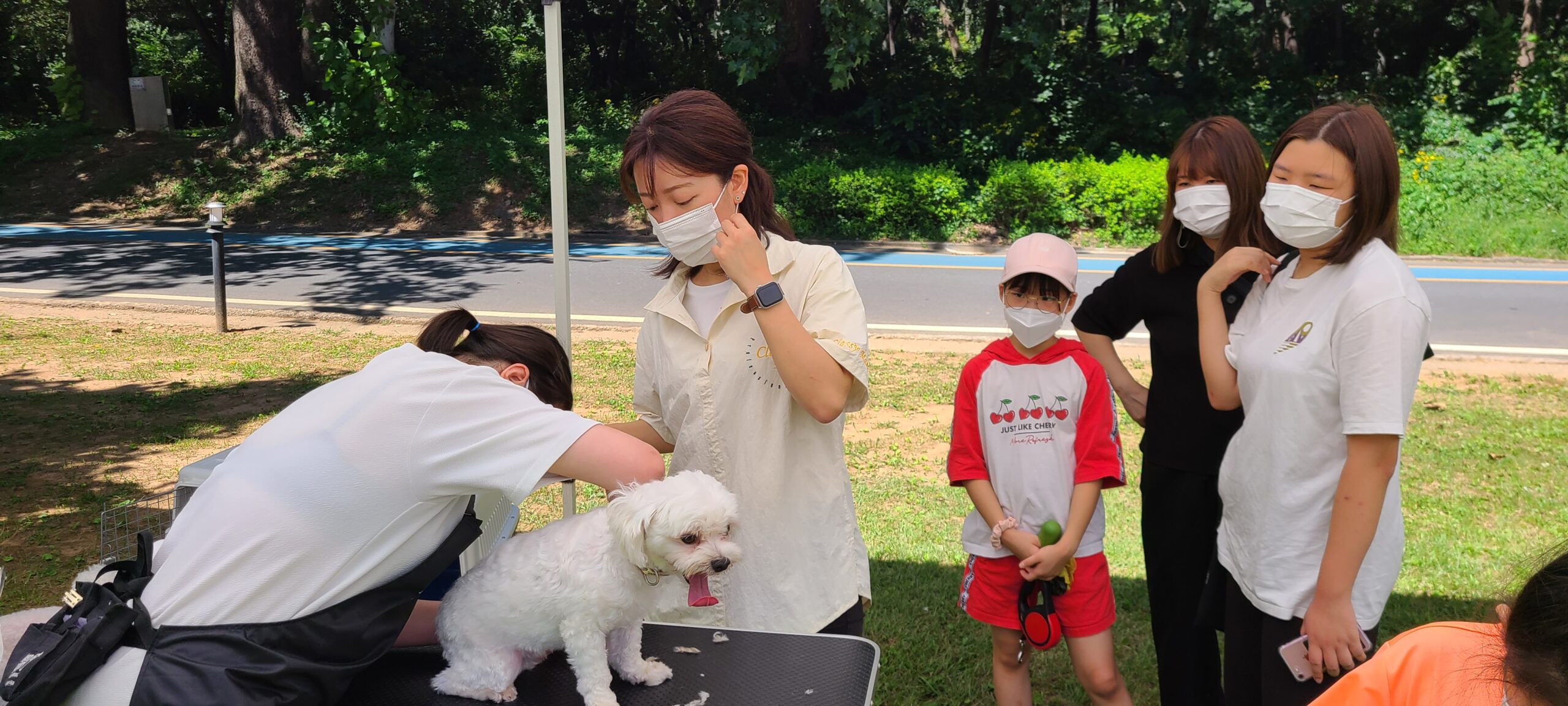 KakaoTalk 20240524 075910687 03 scaled