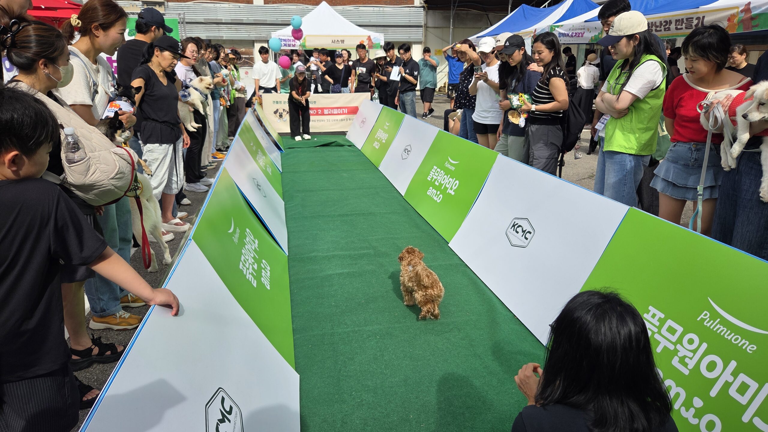 KakaoTalk 20251009 211747417 27 scaled