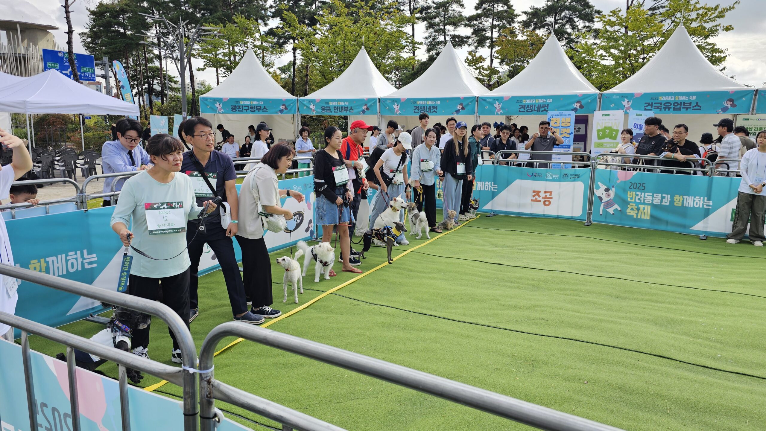 KakaoTalk 20251009 211754137 11 scaled