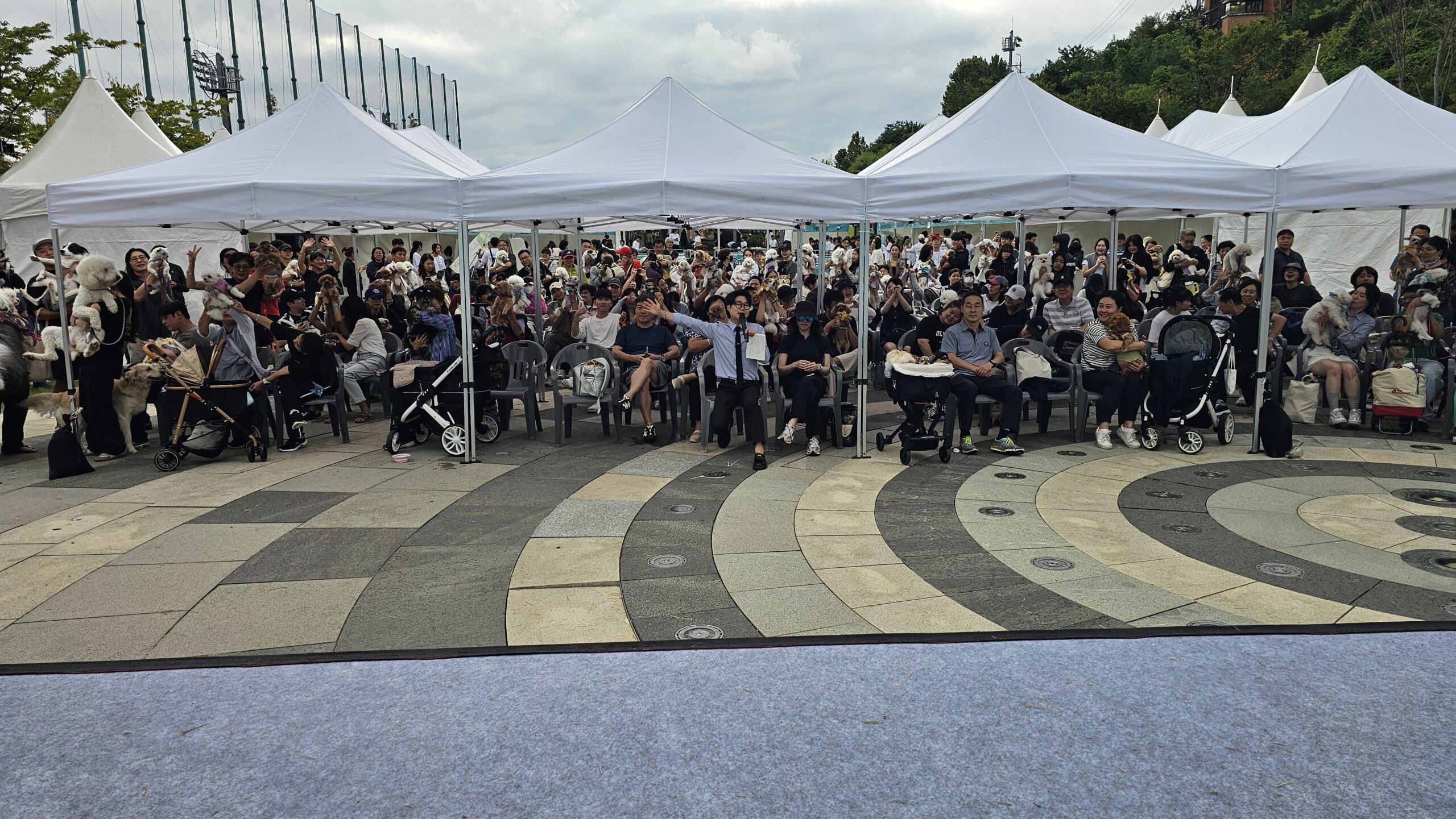 KakaoTalk 20251009 211754137 13 scaled